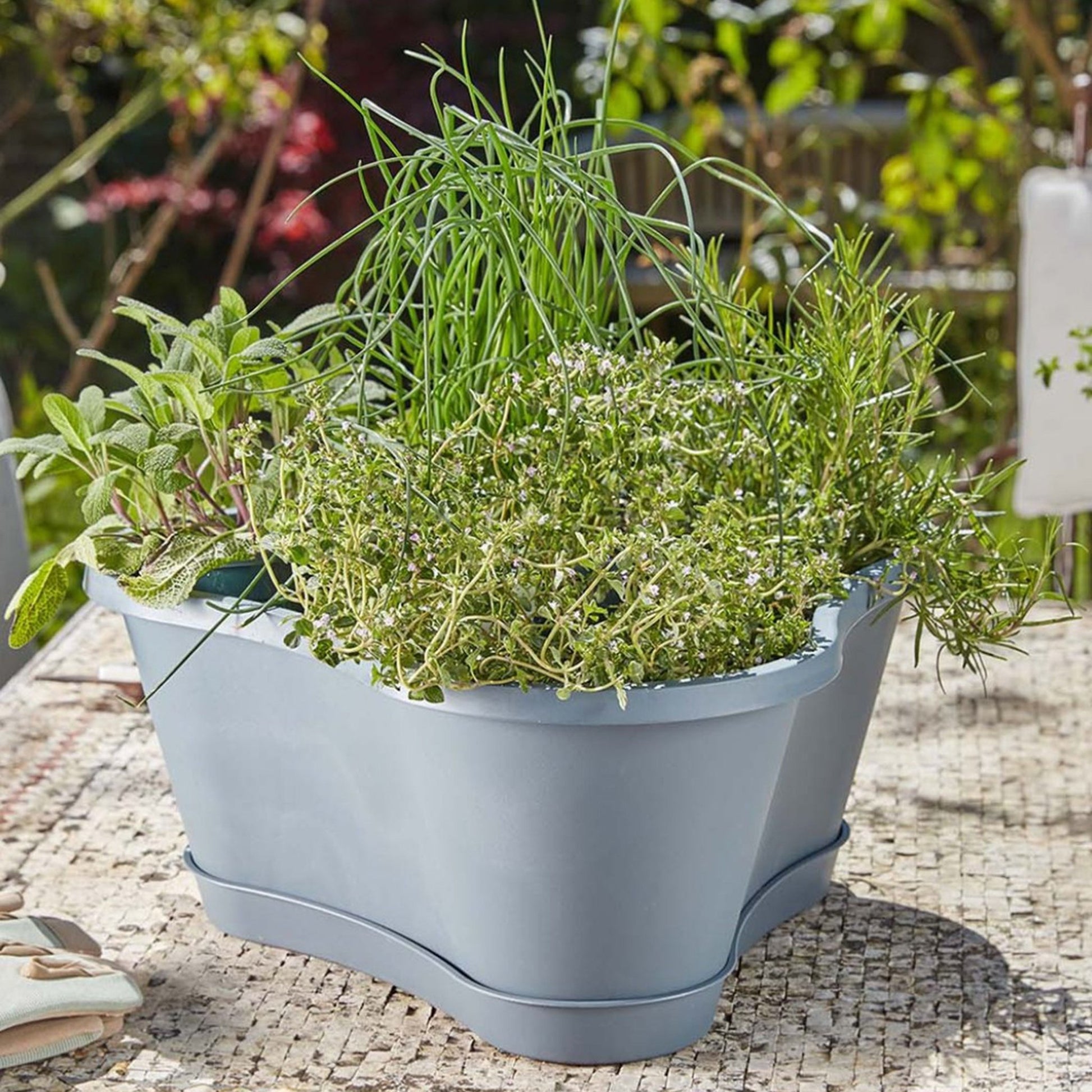 PRE ORDER: DEC. - Stackable Planter 4 Pack with Tray - mazeproducts