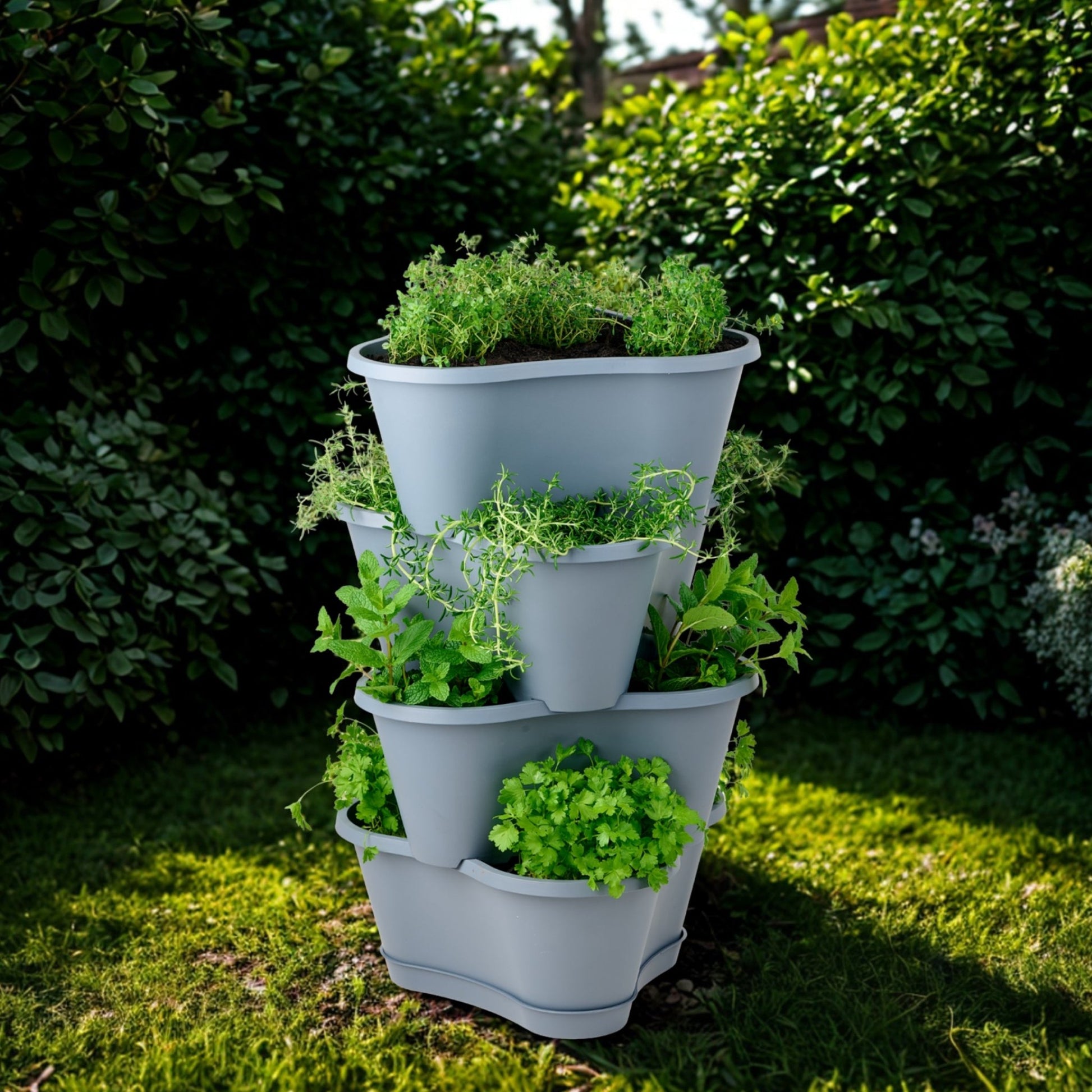 PRE ORDER: DEC. - Stackable Planter 4 Pack with Tray - mazeproducts