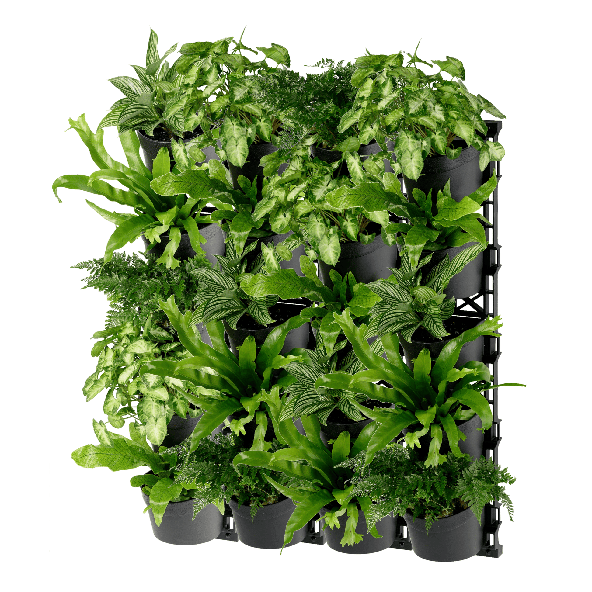 Standard FIVE Tier Vertical Garden - mazeproducts