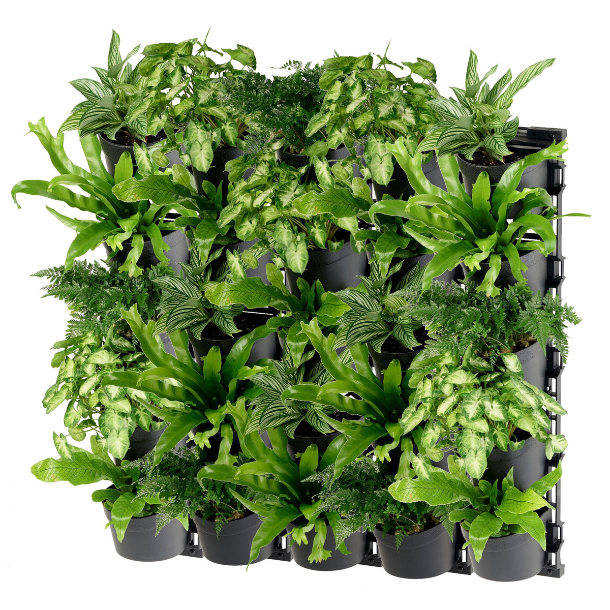 Standard FIVE Tier Vertical Garden