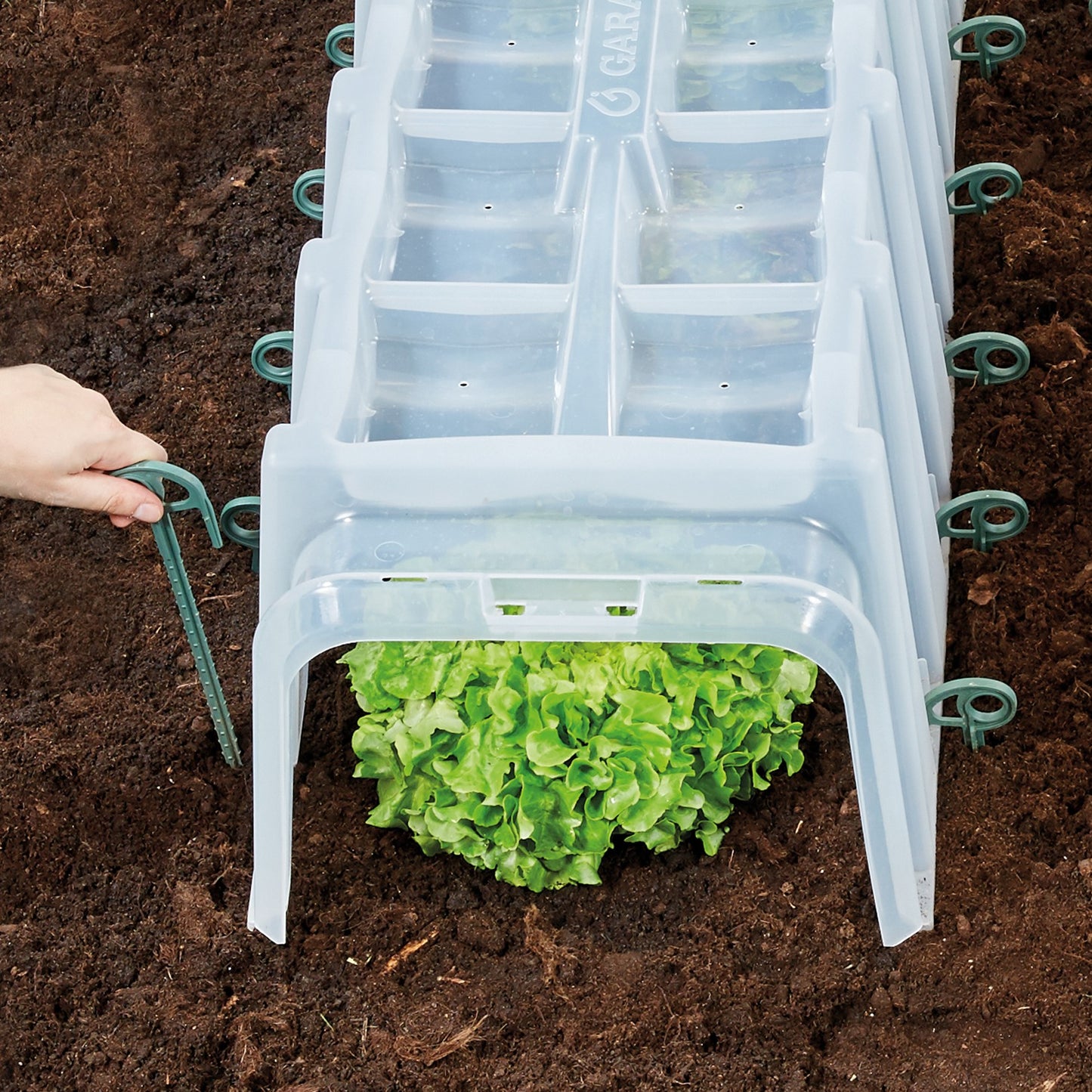Sunny Growing Tunnel with End Caps & 10 x Pegs