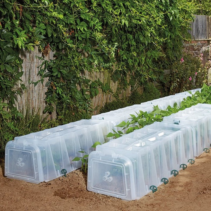 Sunny Growing Tunnel with End Caps & 10 x Pegs