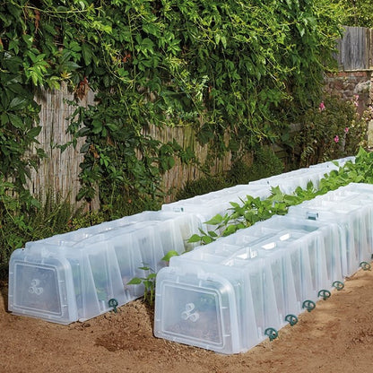 Sunny Growing Tunnel with End Caps & 10 x Pegs