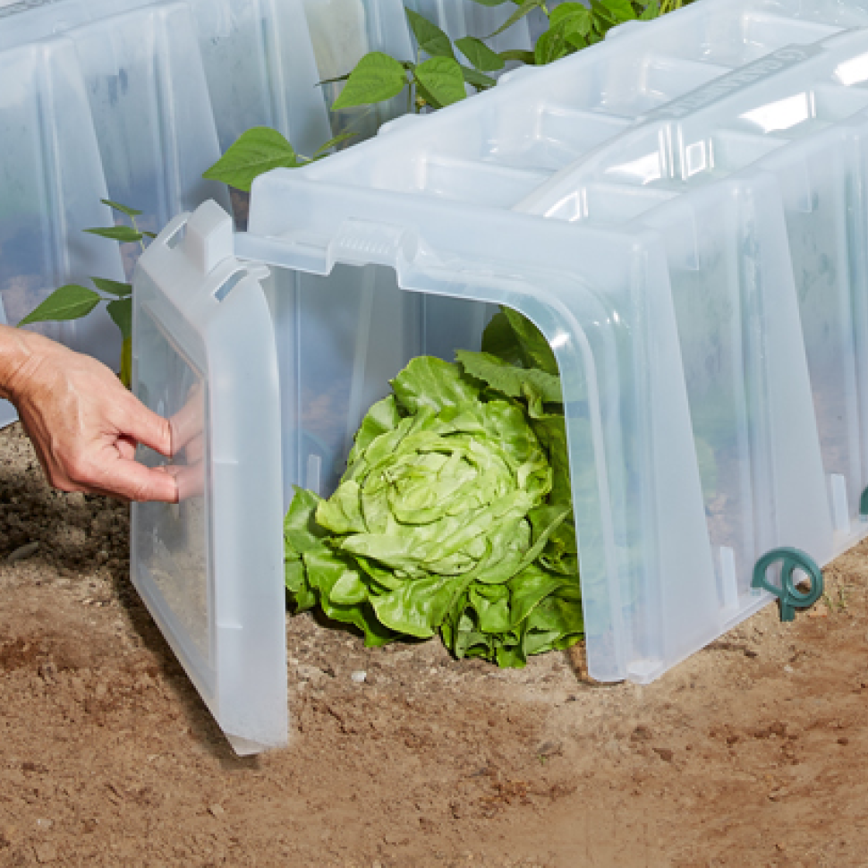 Sunny Growing Tunnel with End Caps & 10 x Pegs