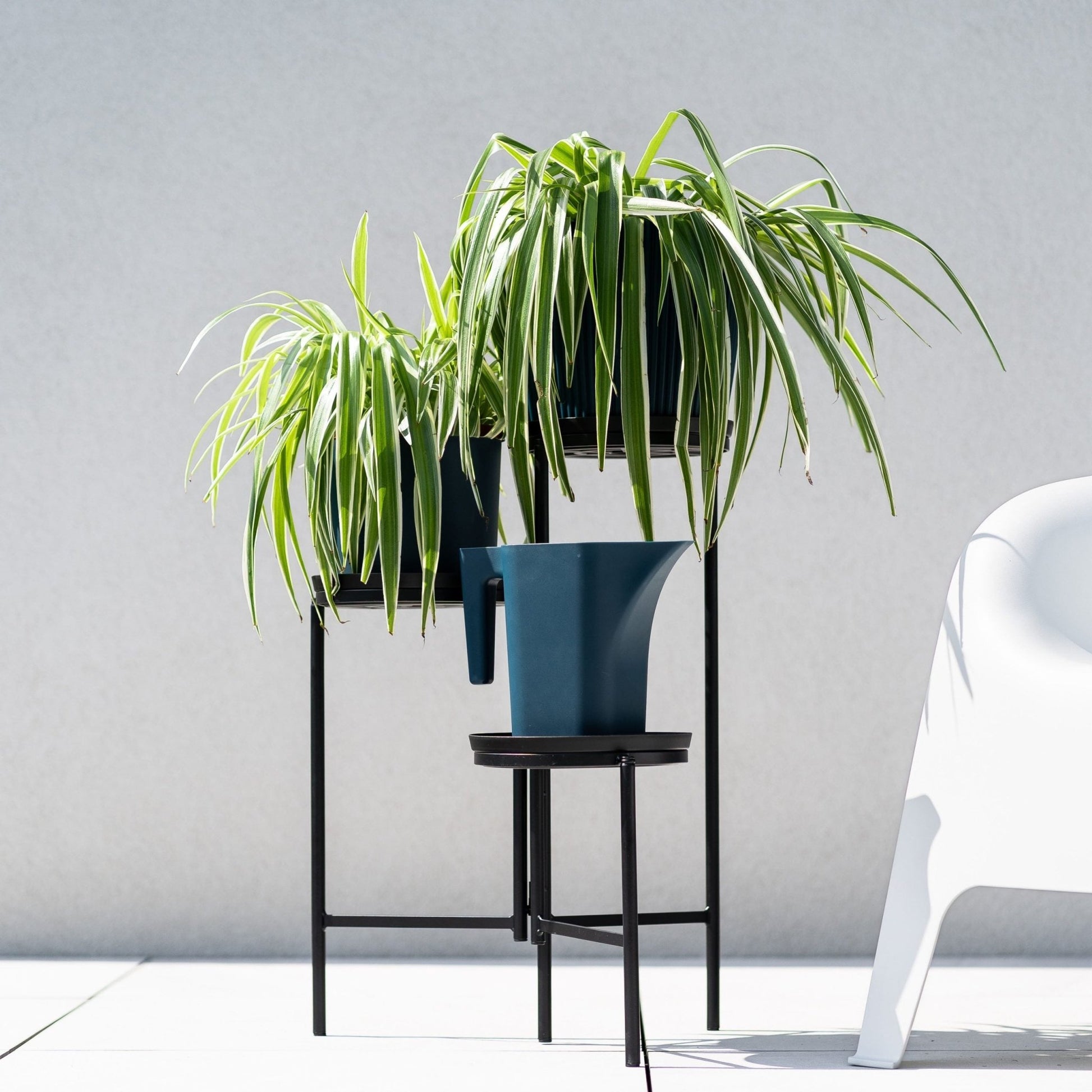 pot plant stand australia TOL Plant Stand – mazeproducts