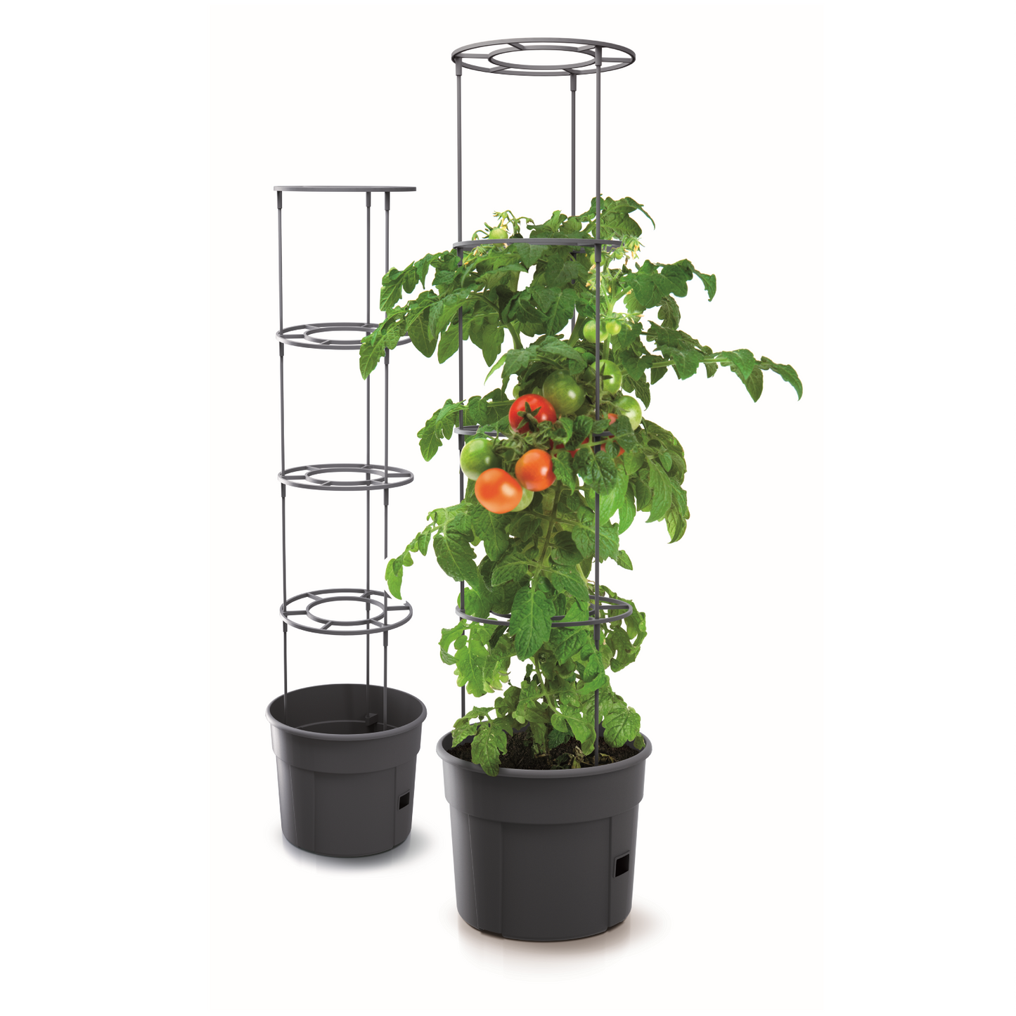 Tomato Grower Planter 300