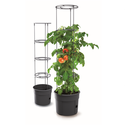 Tomato Grower Planter 300