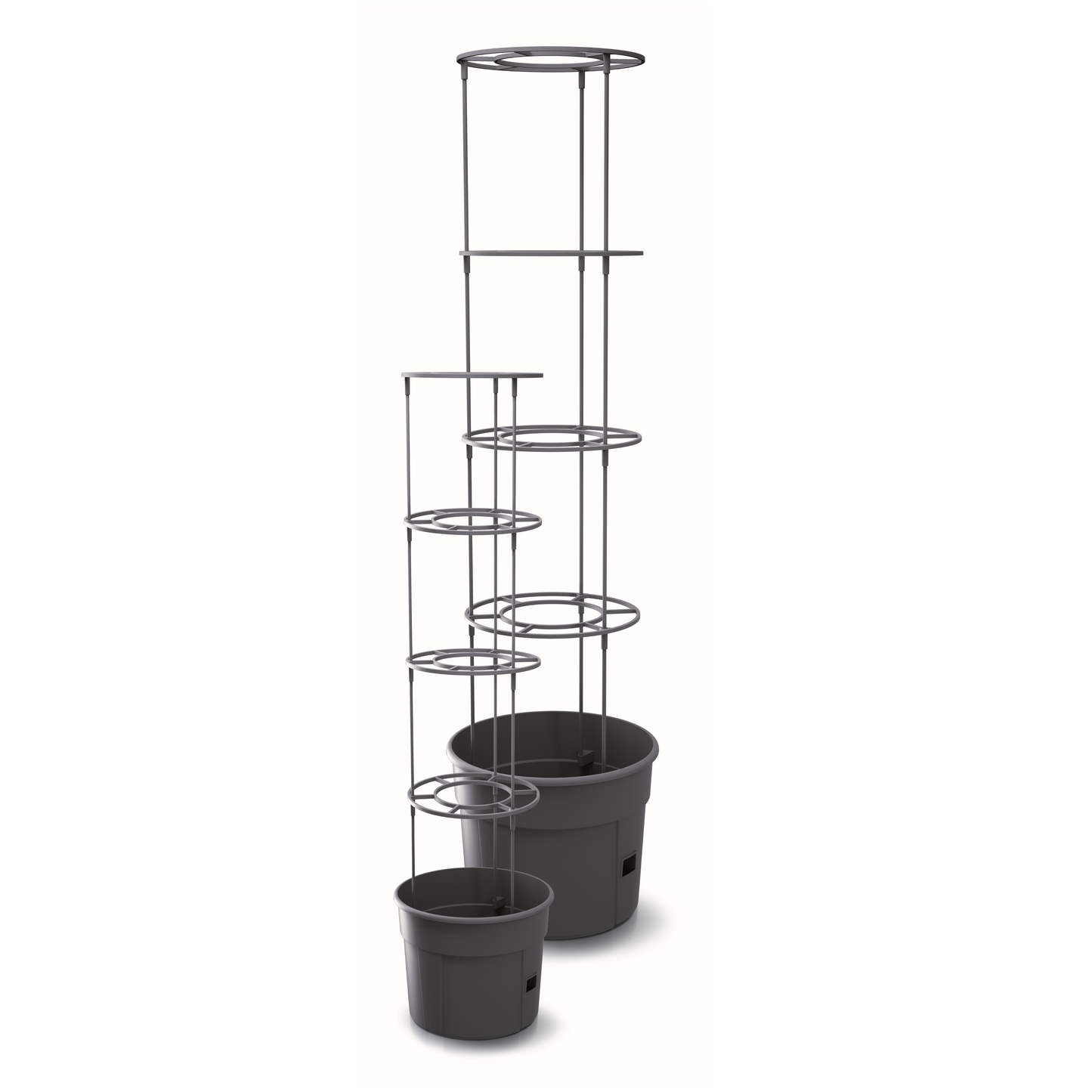 Tomato Grower Planter 300