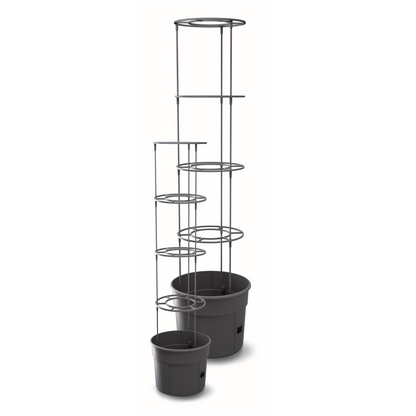 Tomato Grower Planter 300