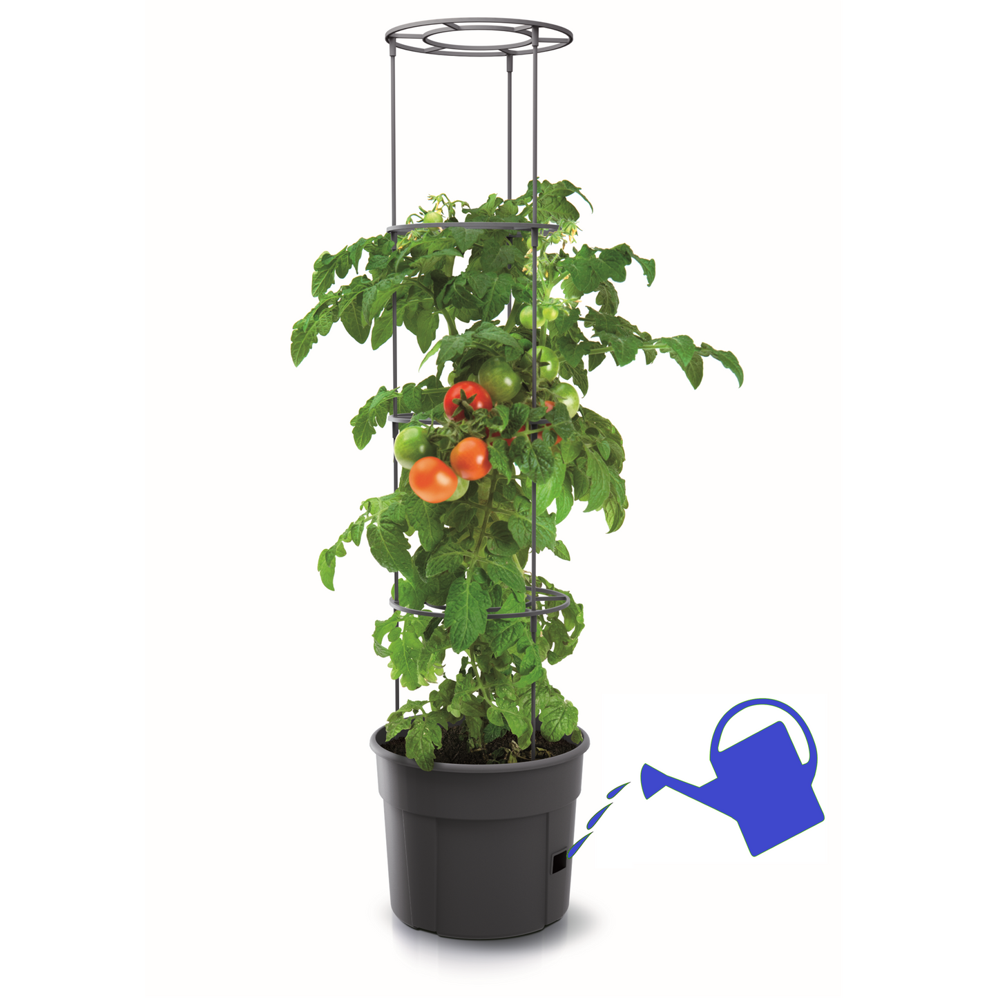 Tomato Grower Planter 300