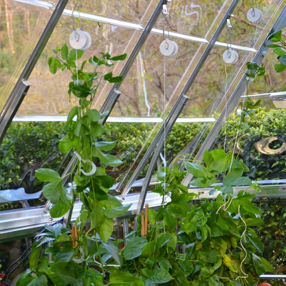 PRE ORDER MAY – Greenhouse Trellising Kit