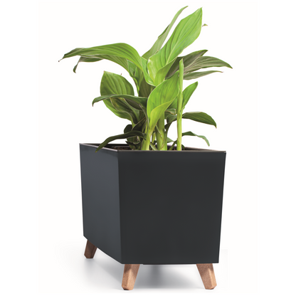 Gracia Case Medium Planter