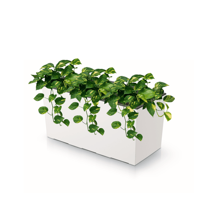 Urbi Case Planter 400 - mazeproducts