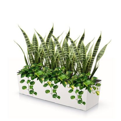 Urbi Case Planter 800 - mazeproducts