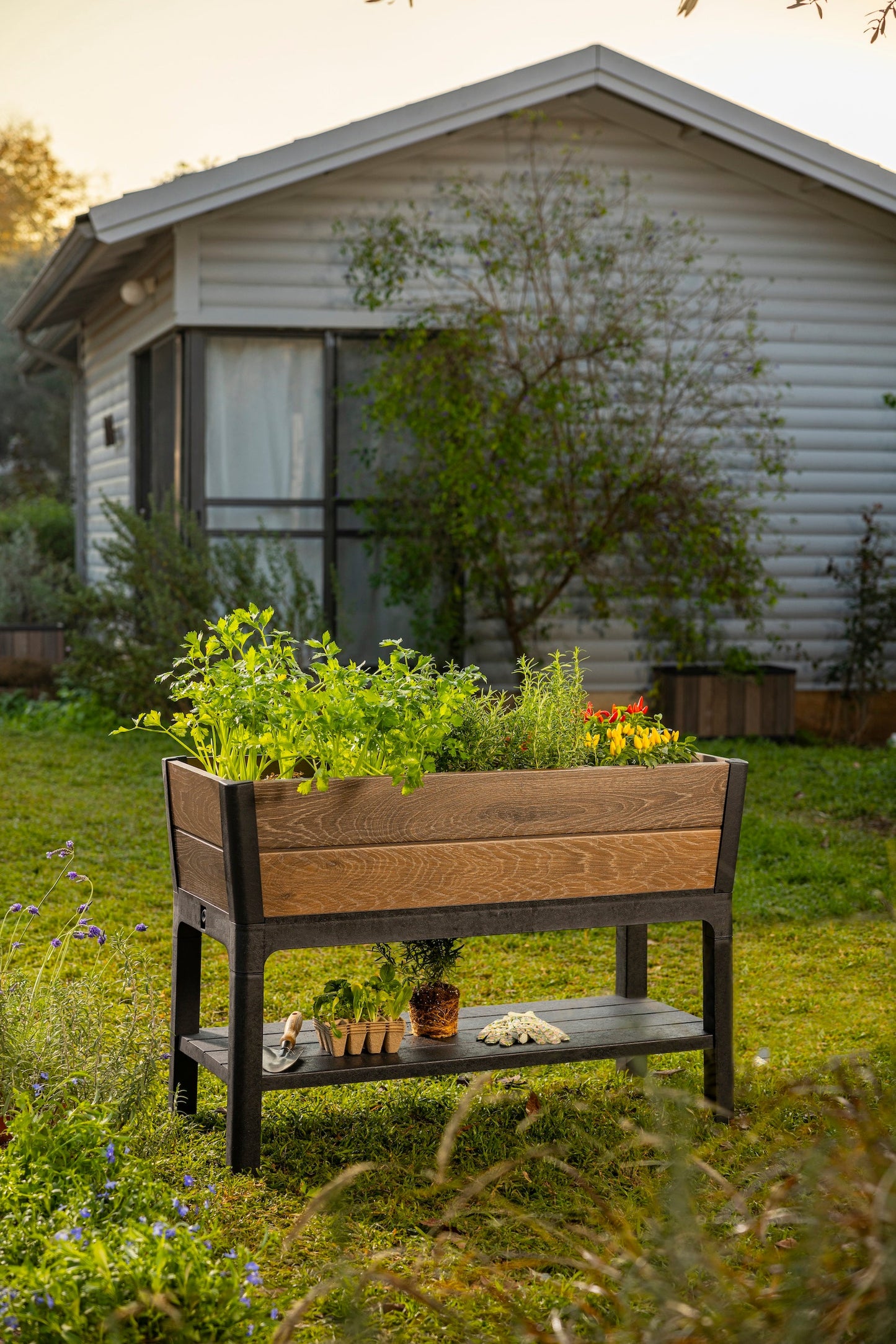 PRE ORDER: NOV. - Keter Signature Elevated Garden Bed - Walnut Look