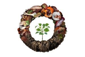 Read more about the article 4 Reasons We Should all Compost at Home