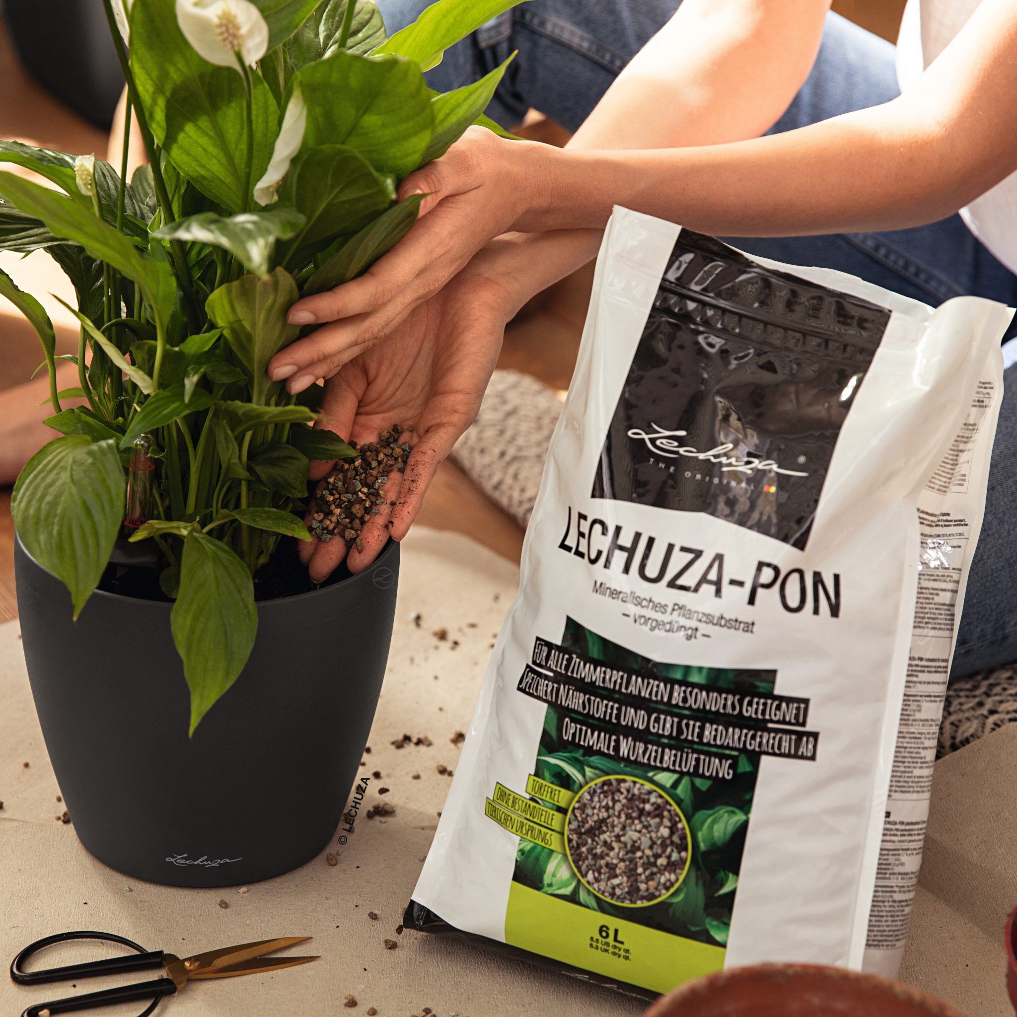 LECHUZA PON Plant Substrate - Maze Products Australia