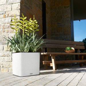 CUBE LS COLOR 35 Self Watering Planter