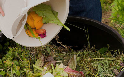 Five Steps to Composting Success