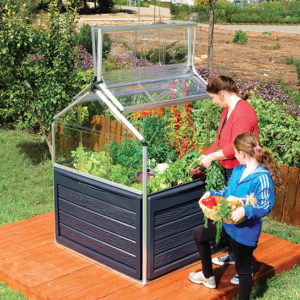 Mini Greenhouses & Garden Covers